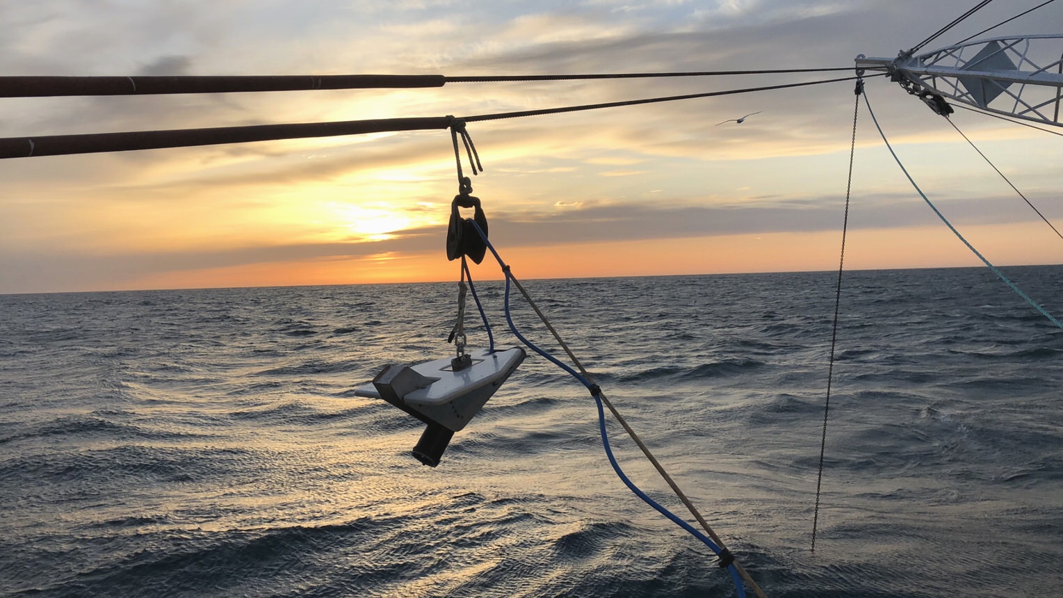 Trawl+Hydrophone+in+Paravane.jpg
