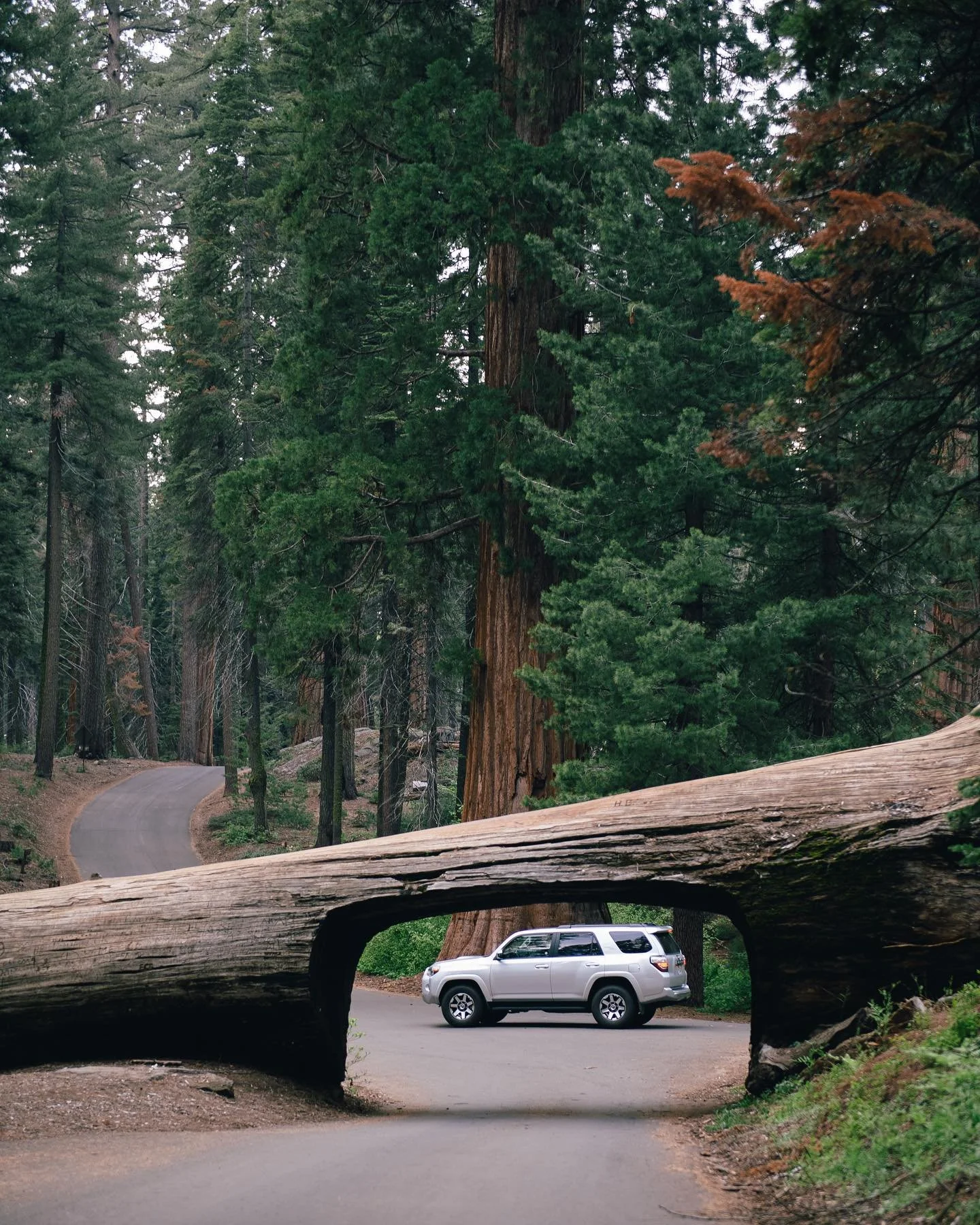 pnw next week 🏔️