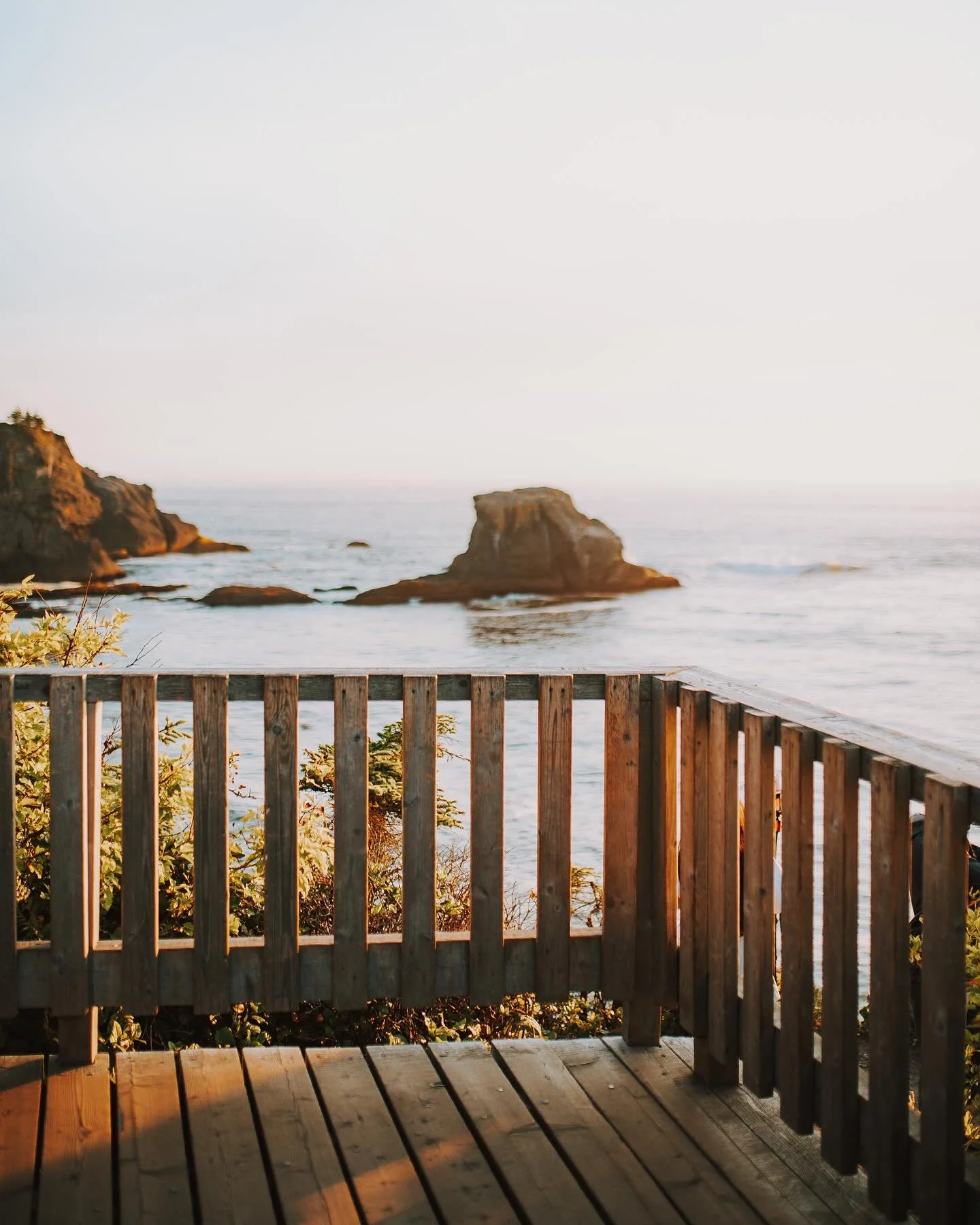 i&rsquo;m alive lol. doing shoots every day takes a toll on my schedule. i wish I could travel like I used to, but I&rsquo;d rather focus on my business. 

I should be posting those sessions on my story.