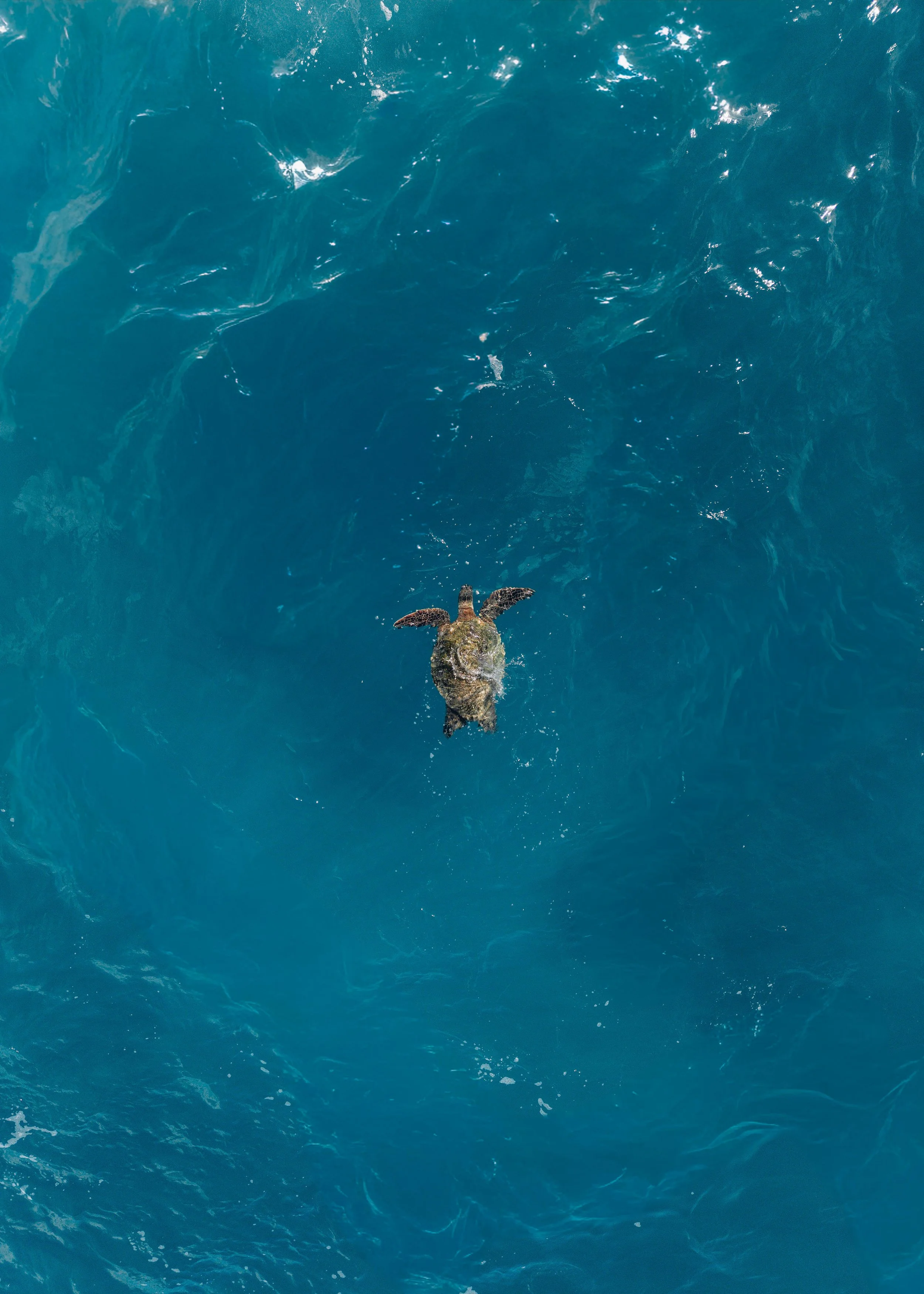 DJI_20260416141234_0646_D.jpg