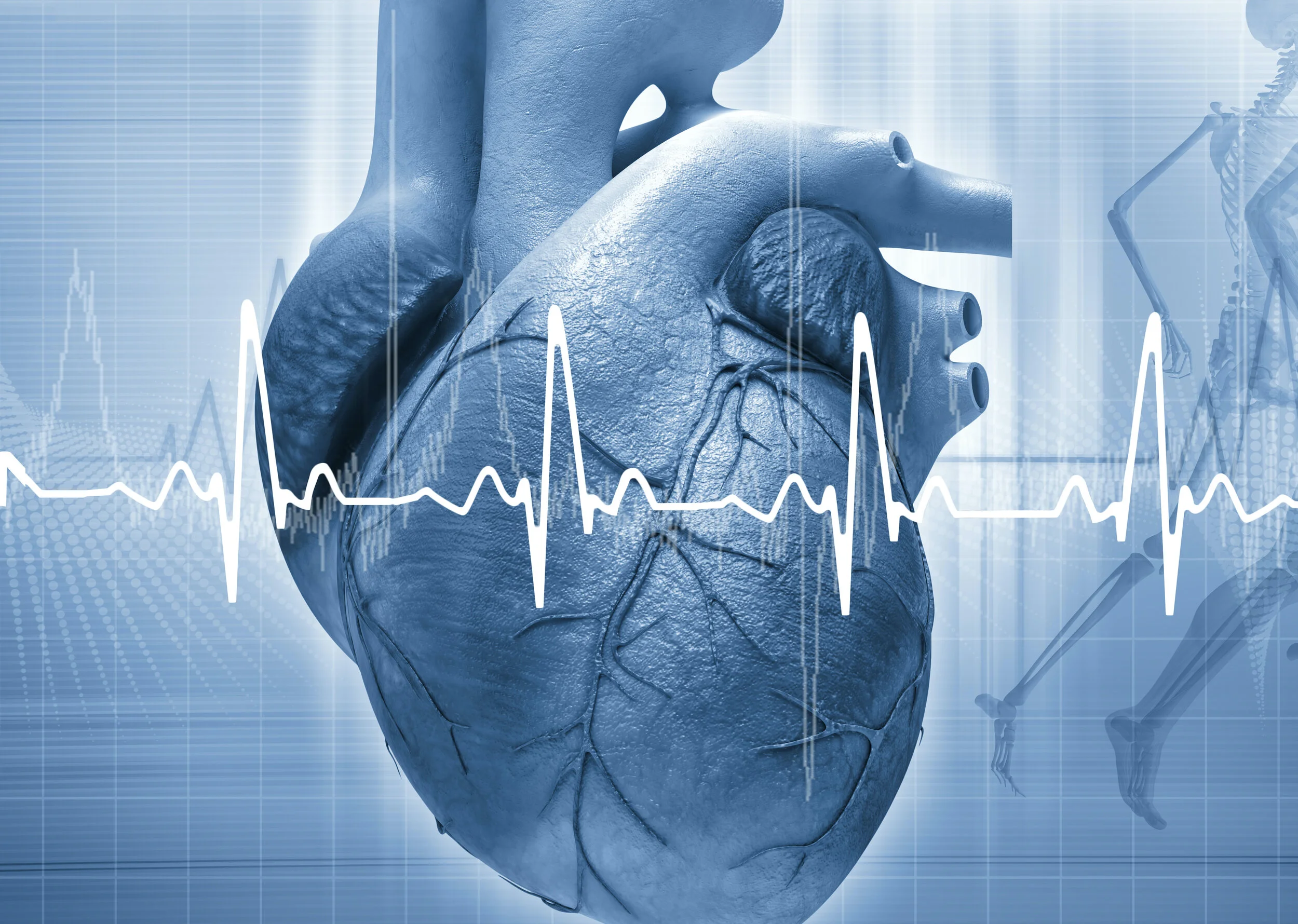 Heart Rate Variability (HRV) & Mind Training