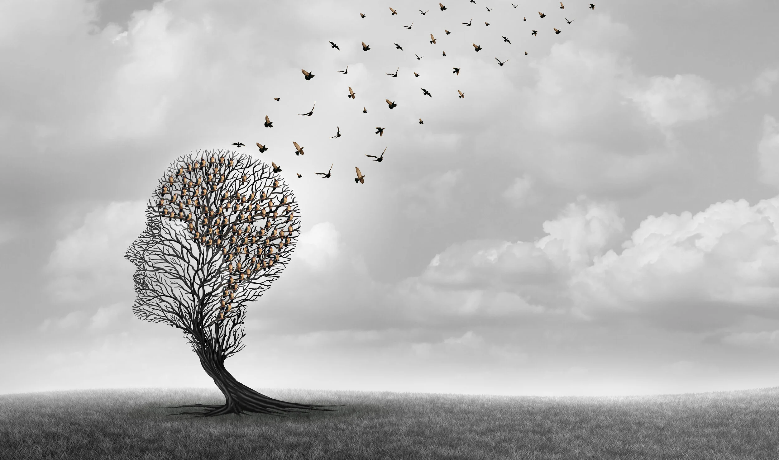 Self-Stories: Fabrications of the Mind