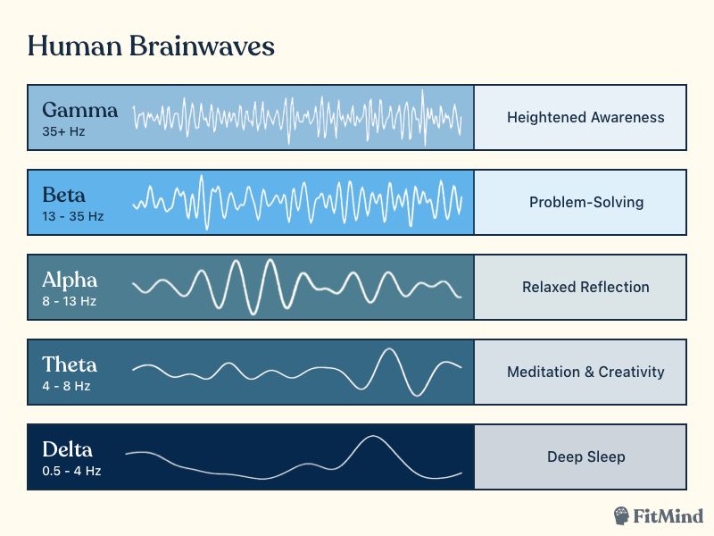 A graphic showcases the difference of types of brainwaves