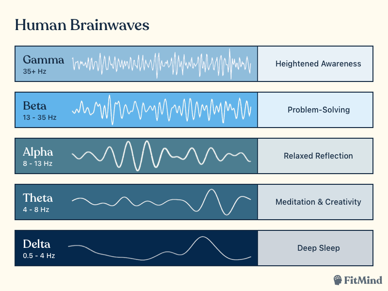 Different brainwaves correspond with particular states of mind. (Note: These Greek letters are confusingly out of alphabetical order since some were discovered earlier than others.)