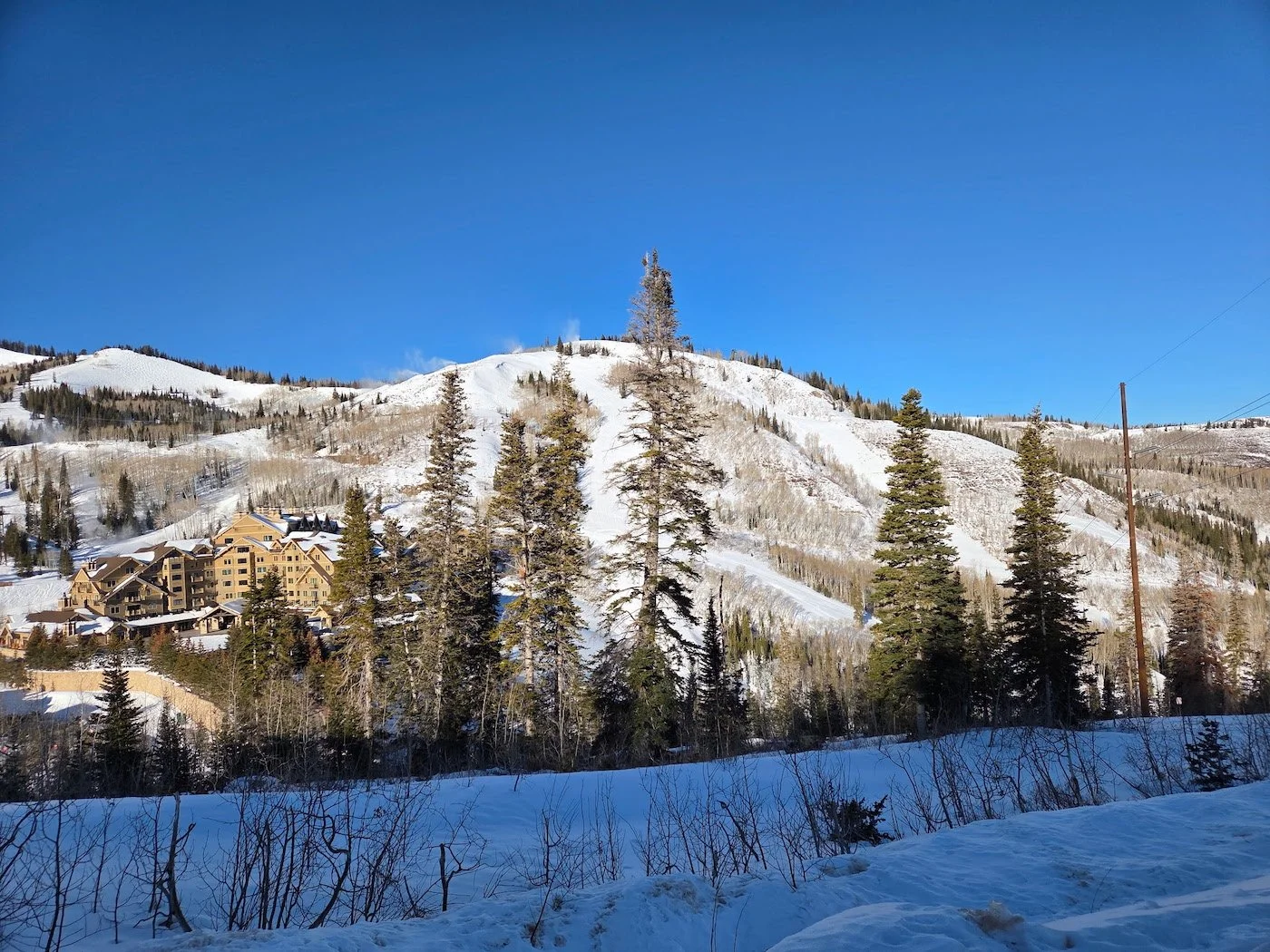 Taking the Long View