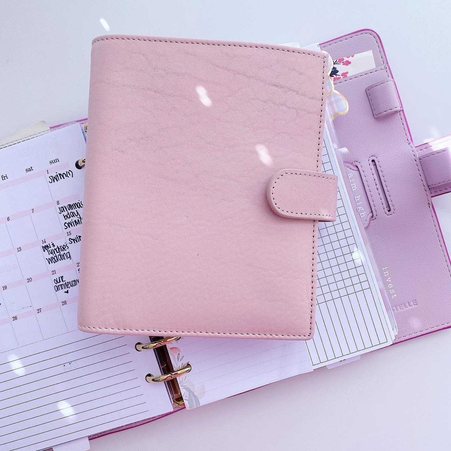 Yesterday was pay day so it&rsquo;s this little thing&rsquo;s time to shine! Pocket XL finance planner 🌸