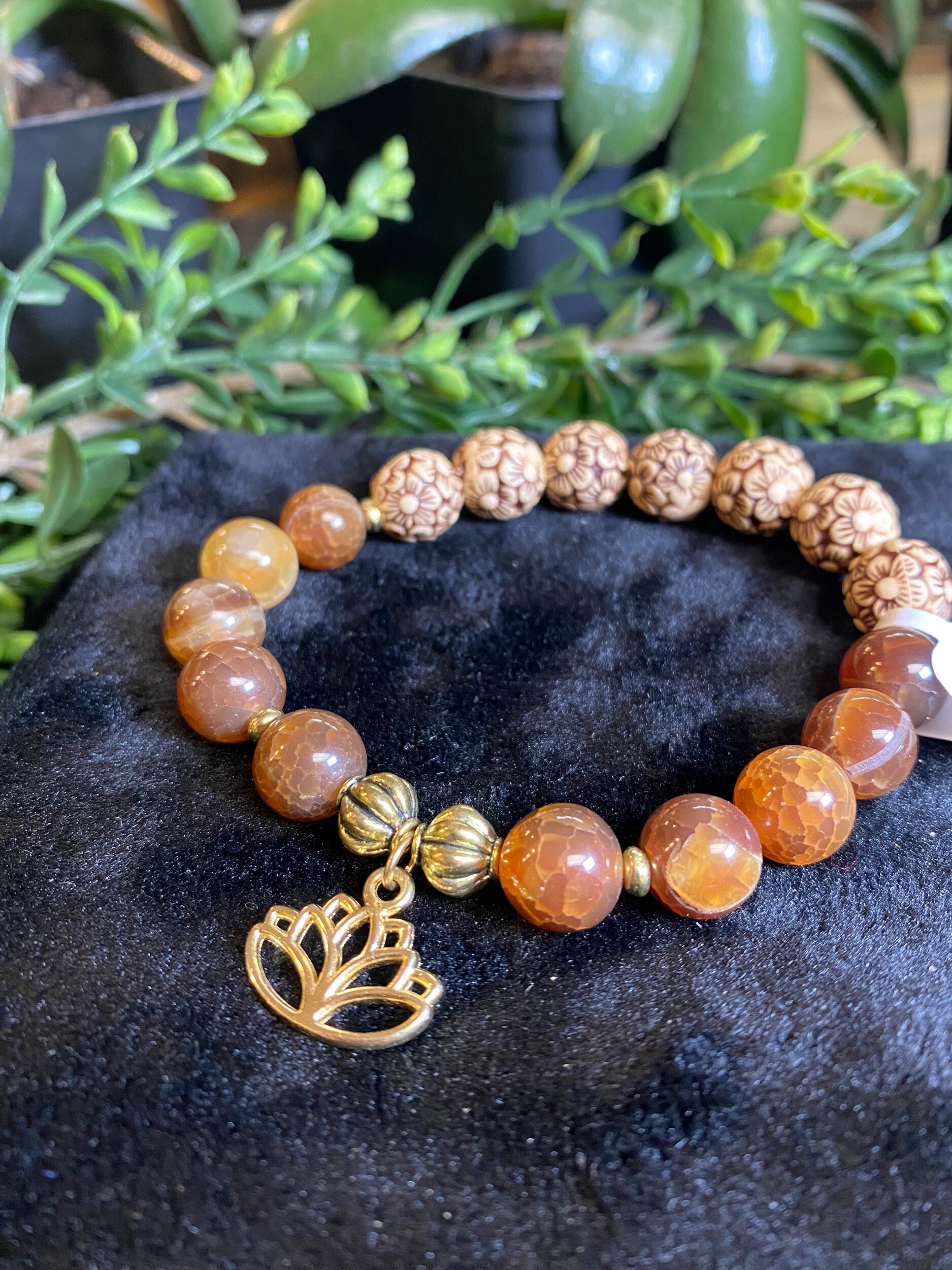 6BA5E7C8-44FB-4DE3-A111-DEE08B7ABD59