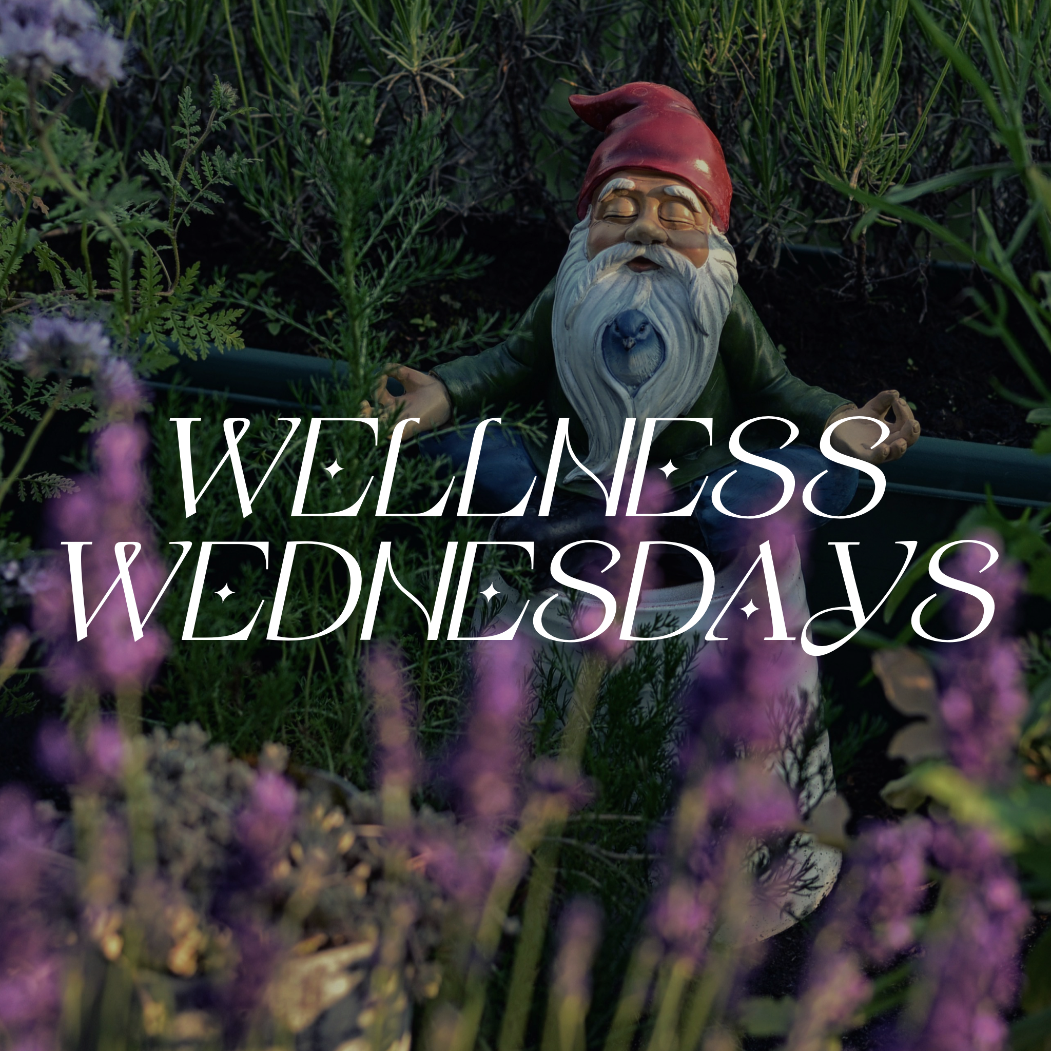 Wellness Wednesdays 