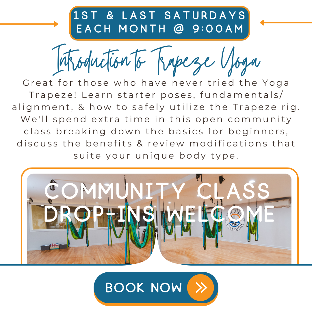 Introduction to Trapeze Yoga (Level 1) Community Class 