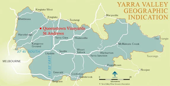 queenstownvineyards.jpg