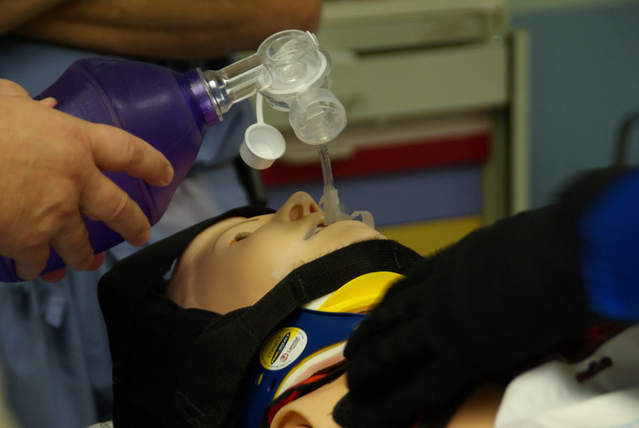 5 y.o. IMGP9787.jpg