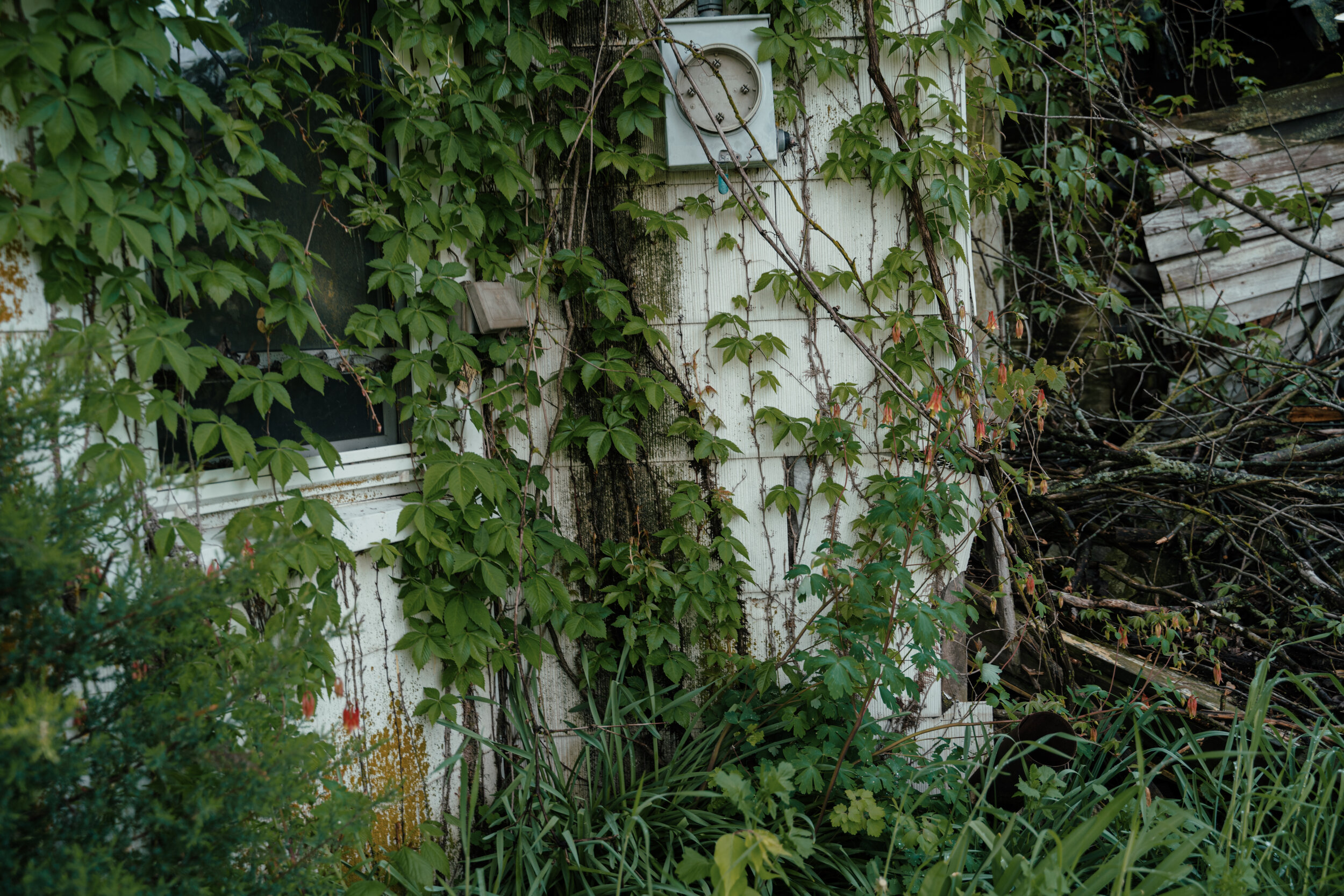 DSC07926.jpg