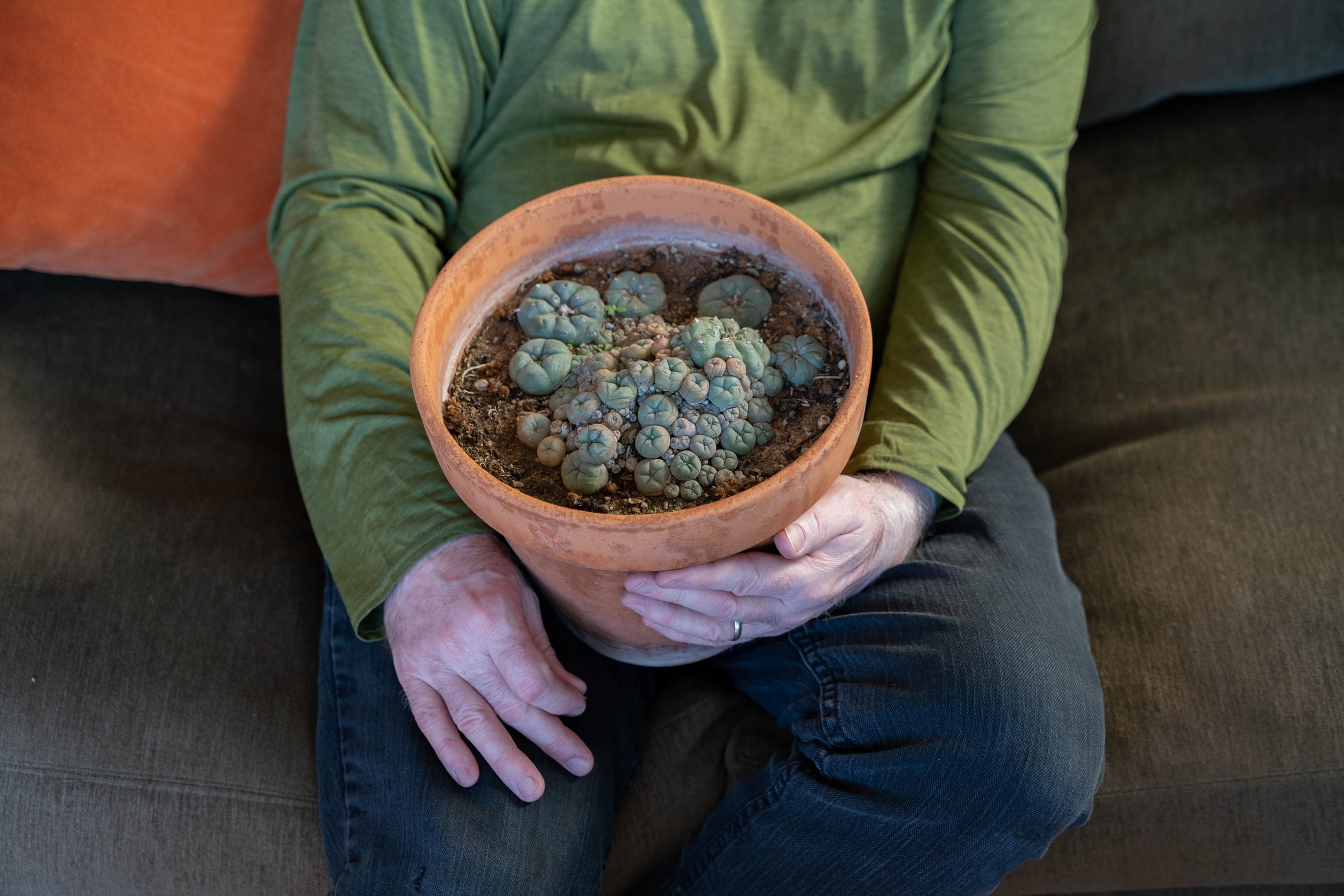 Echo Park peyote