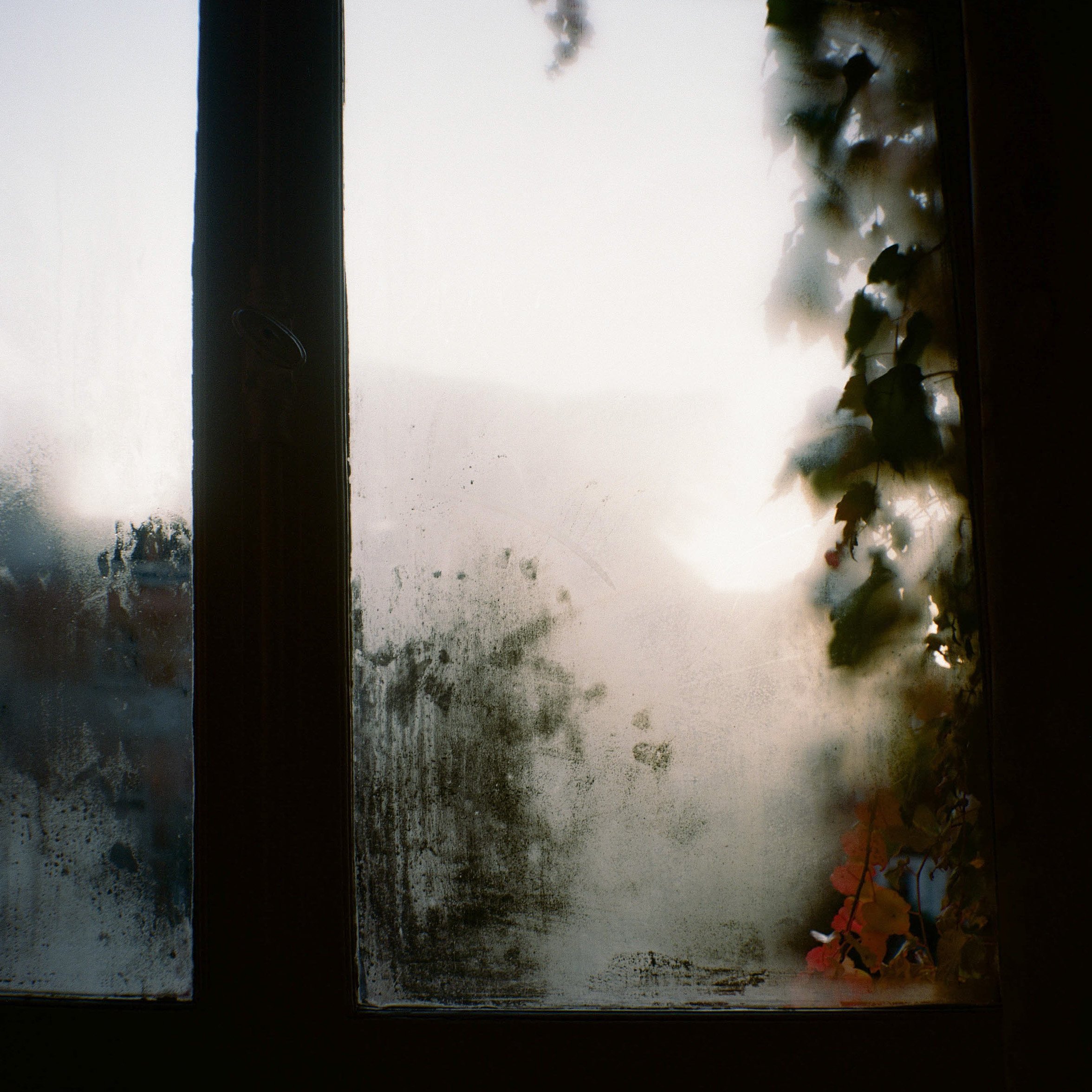 Bedroom window - Paris 2019
