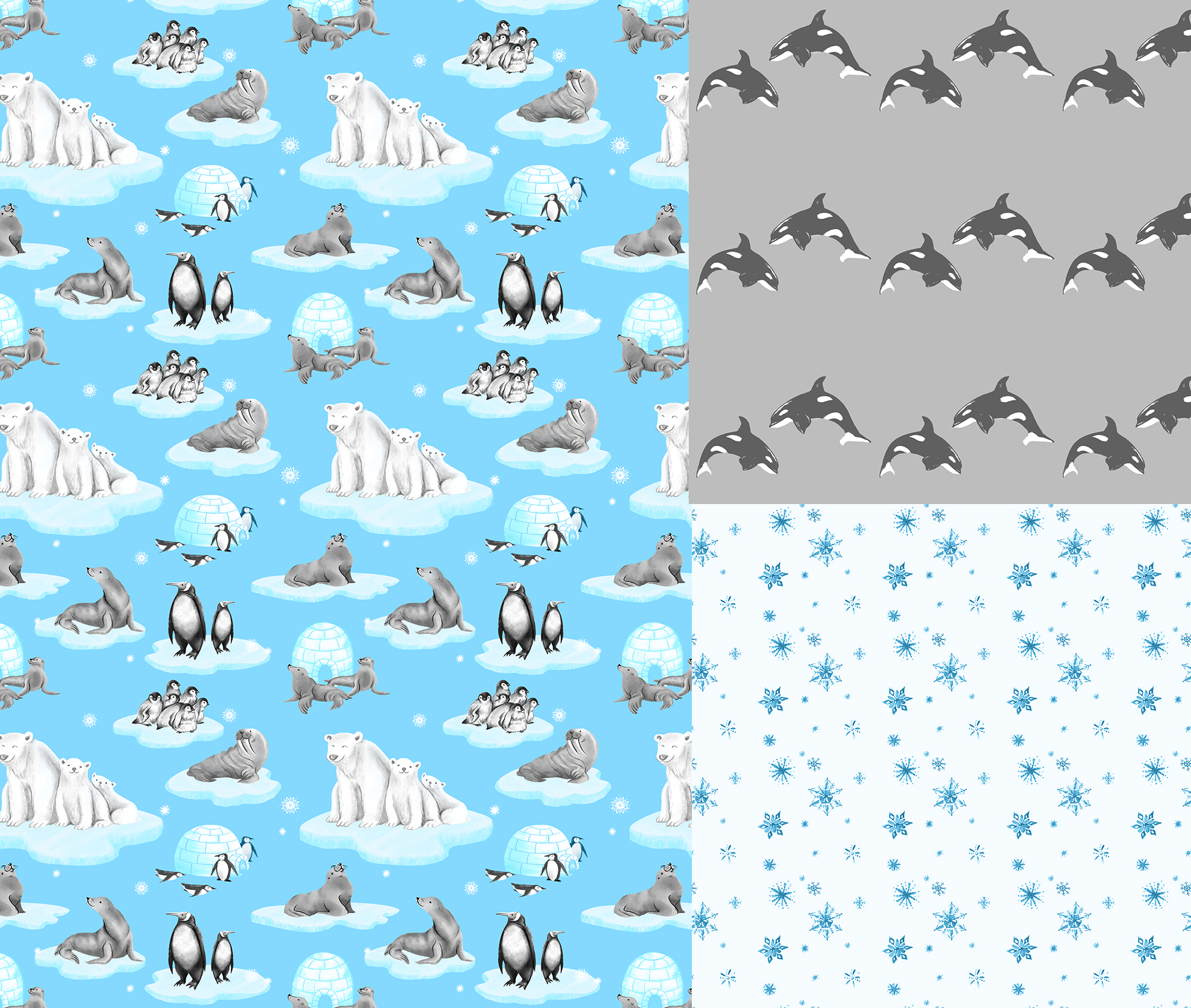 arcticforwebsite2.jpg