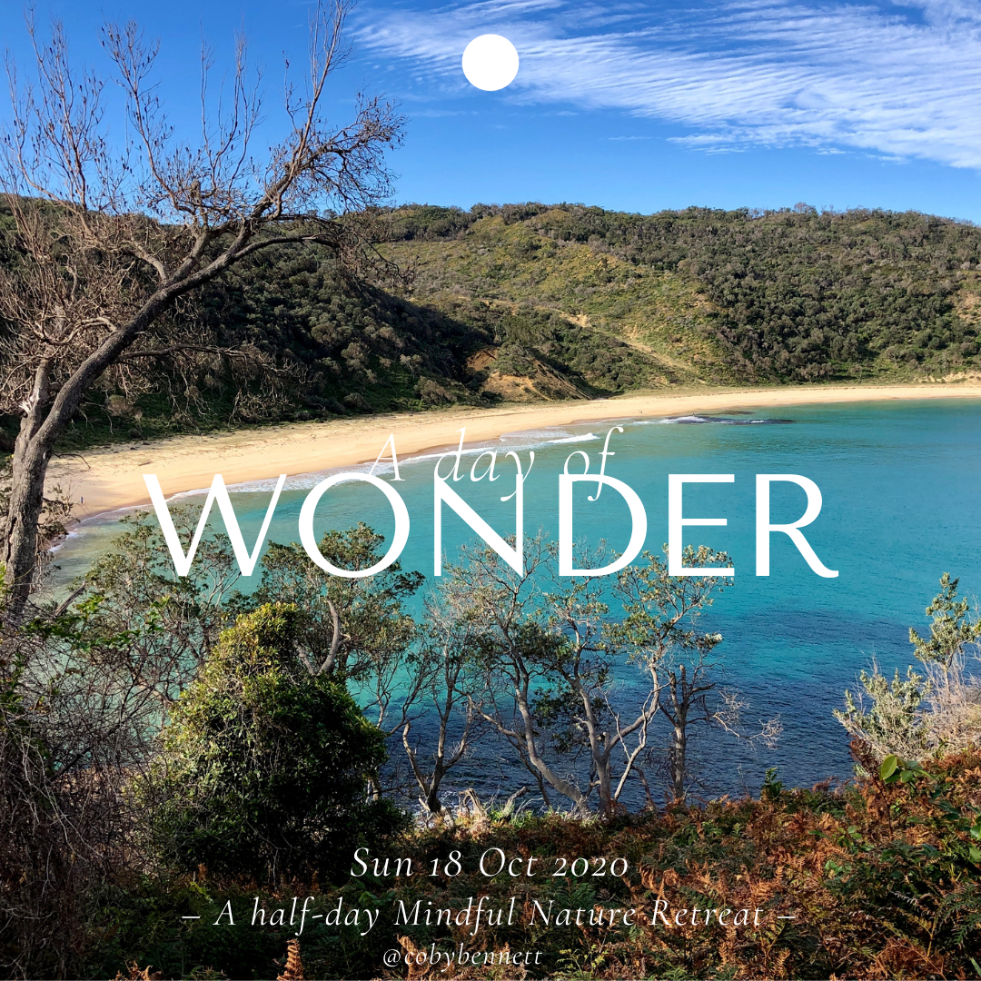 59E5C1E9-F1C3-4B50-8BBA-503B5DF2E7C7