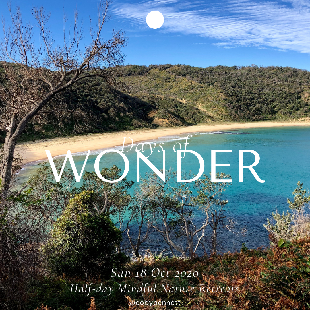 Days of Wonder Retreats