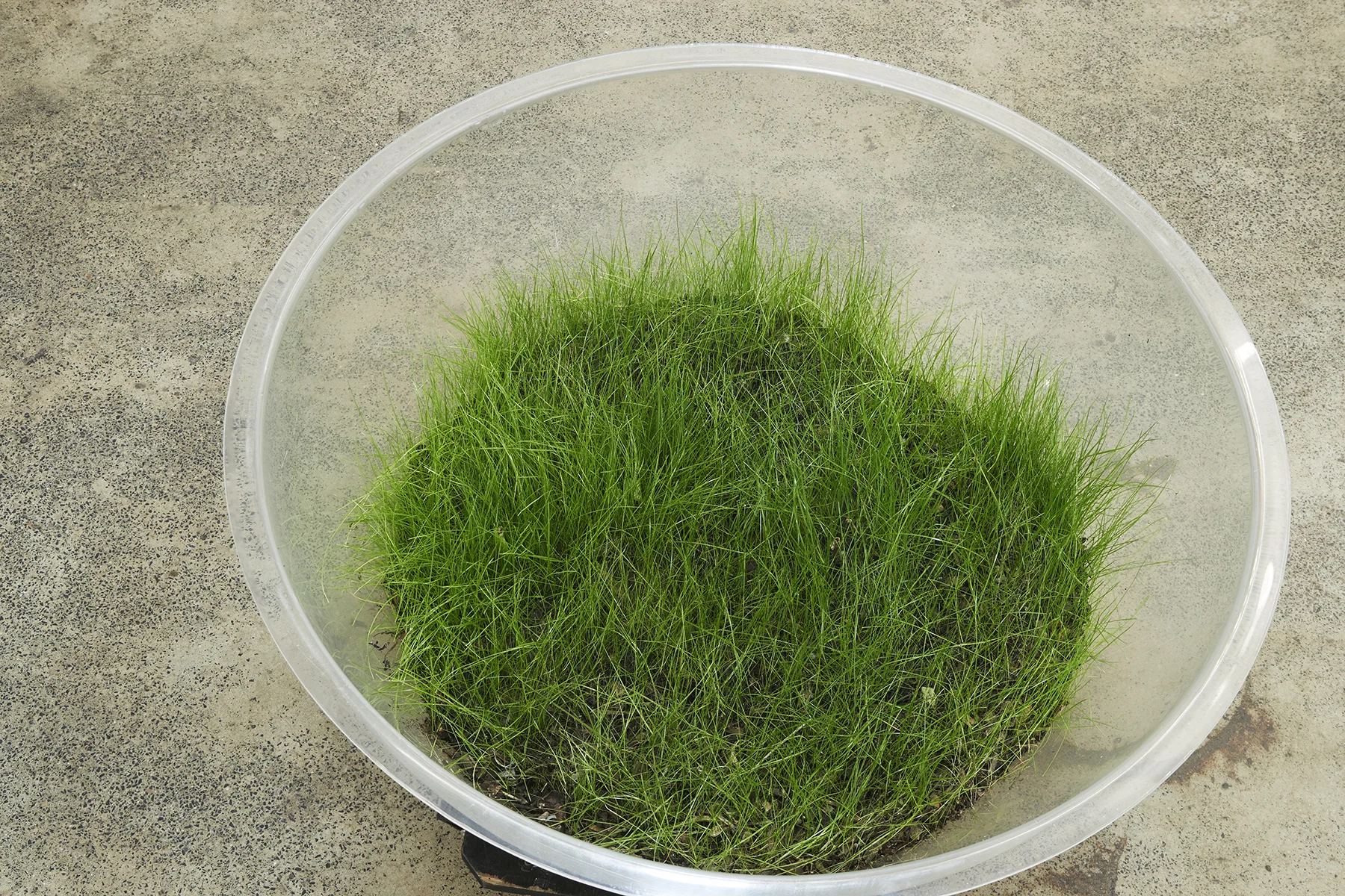 SuperNature, FirstdraftJuly2018-0030.jpg