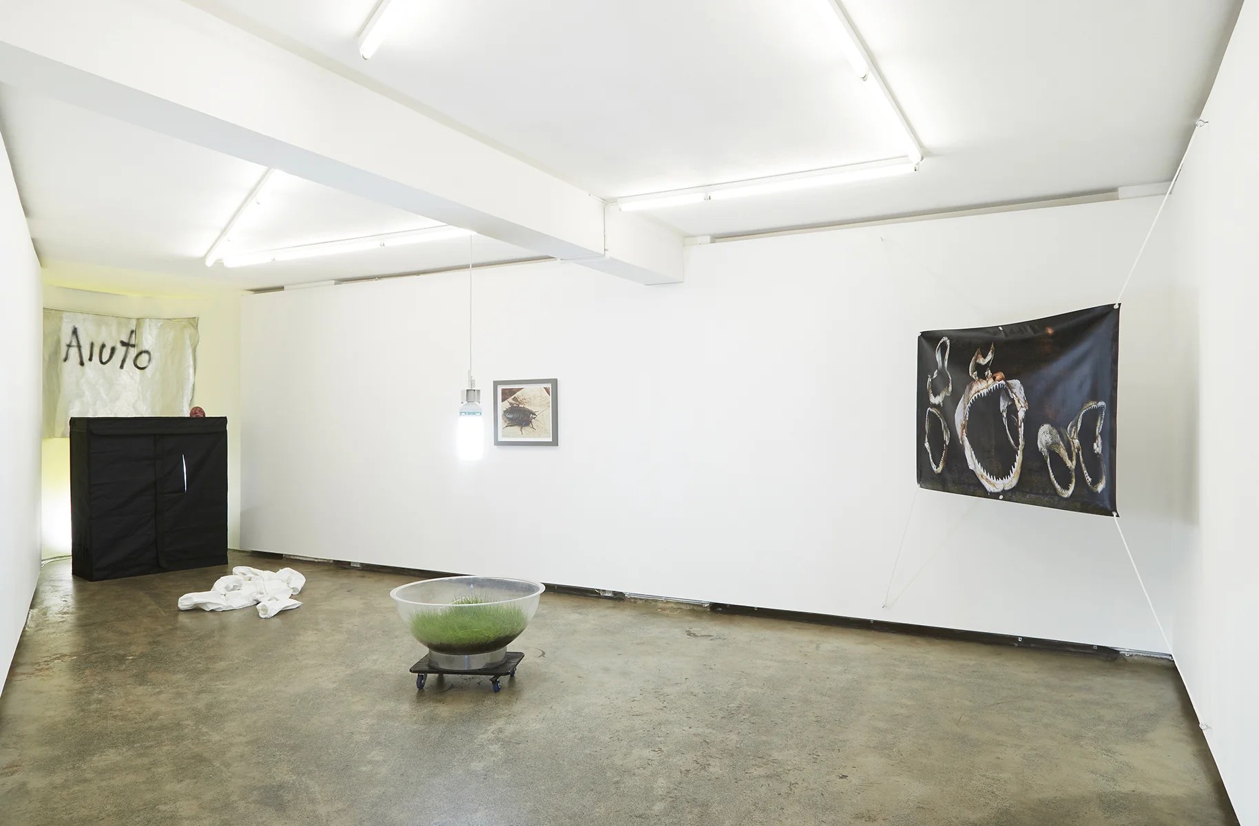 SuperNature, FirstdraftJuly2018-0029.jpg