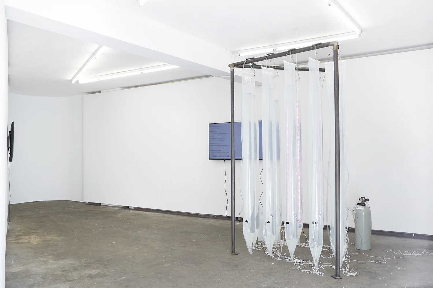 Algae are more Dangerous Foes of Truth than Lies