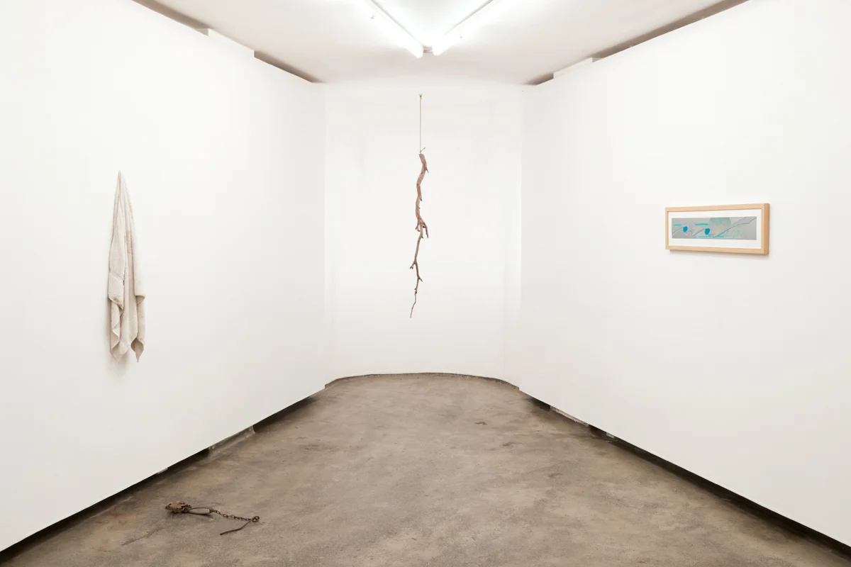Medan Kennedy, Colorbond, plywood, dust. 2019 Firstdraft, Photo Zan Wimberley03.jpg