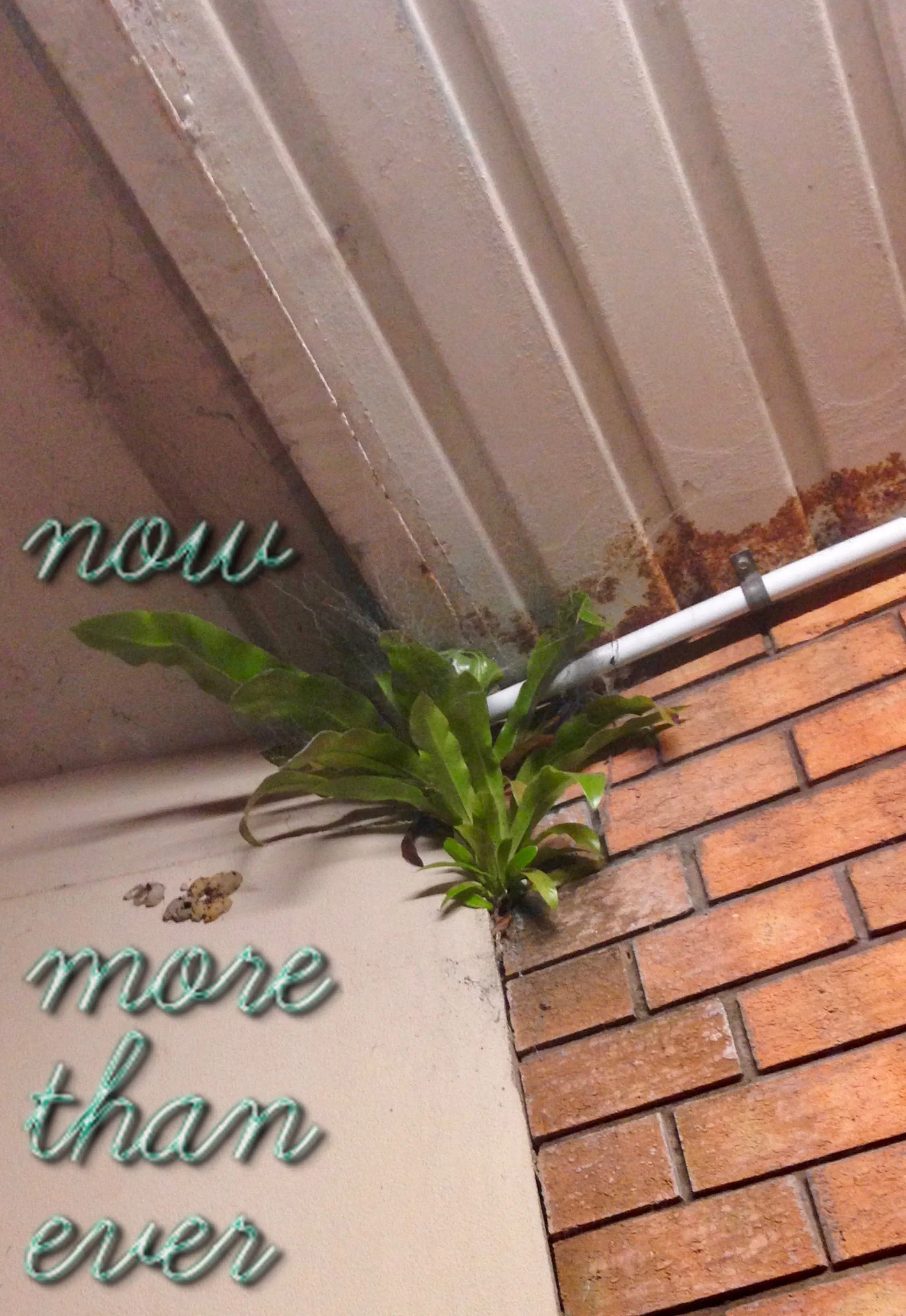Now More Than Ever