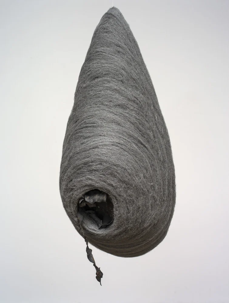 Nest (front) 2018 Mandy Quadrio (1).jpg