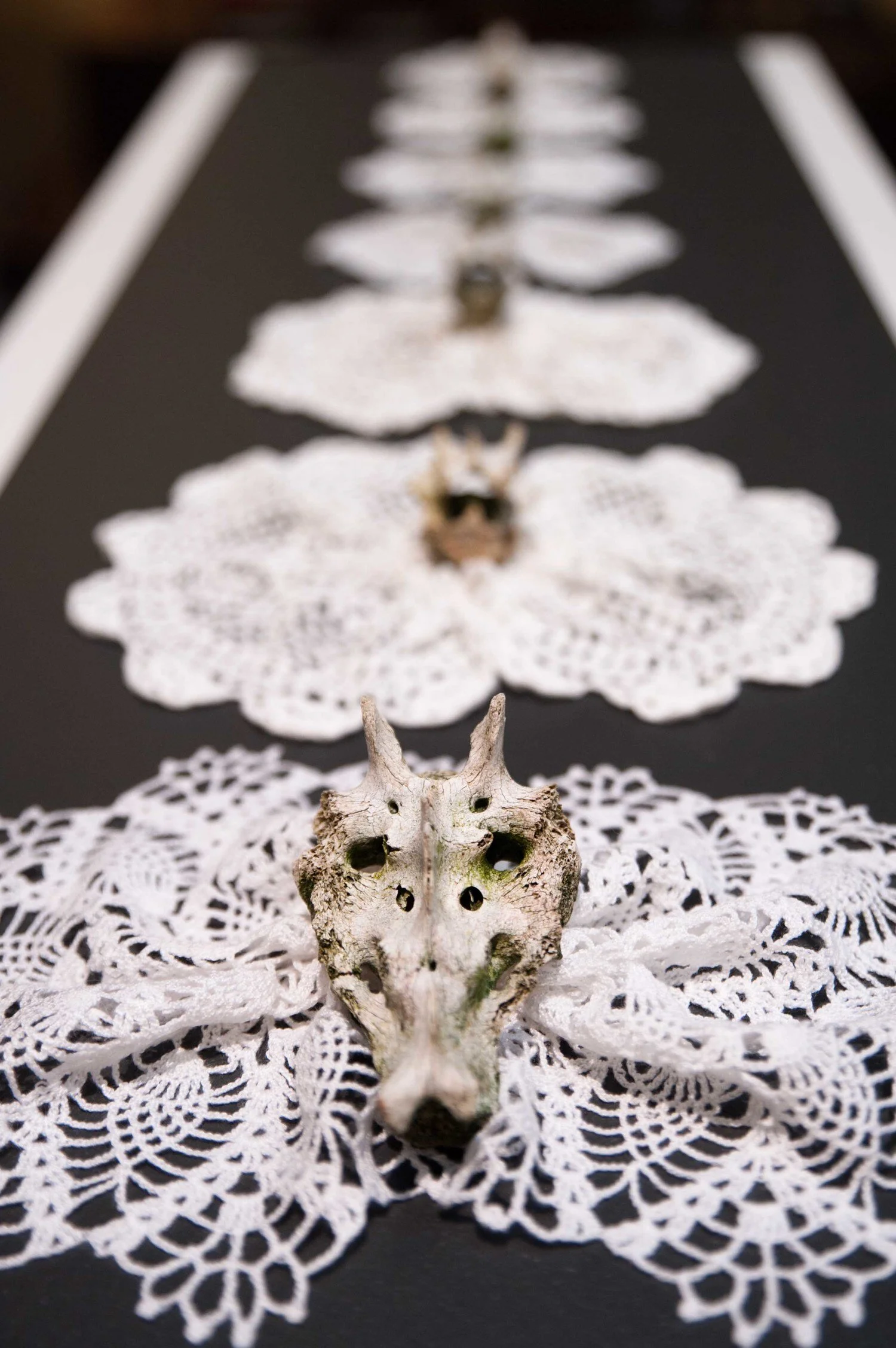 Tamara Baillie,  Dust To Dust , 2015, doilies, bones Courtesy the artist. Photo: Lara Merrington.