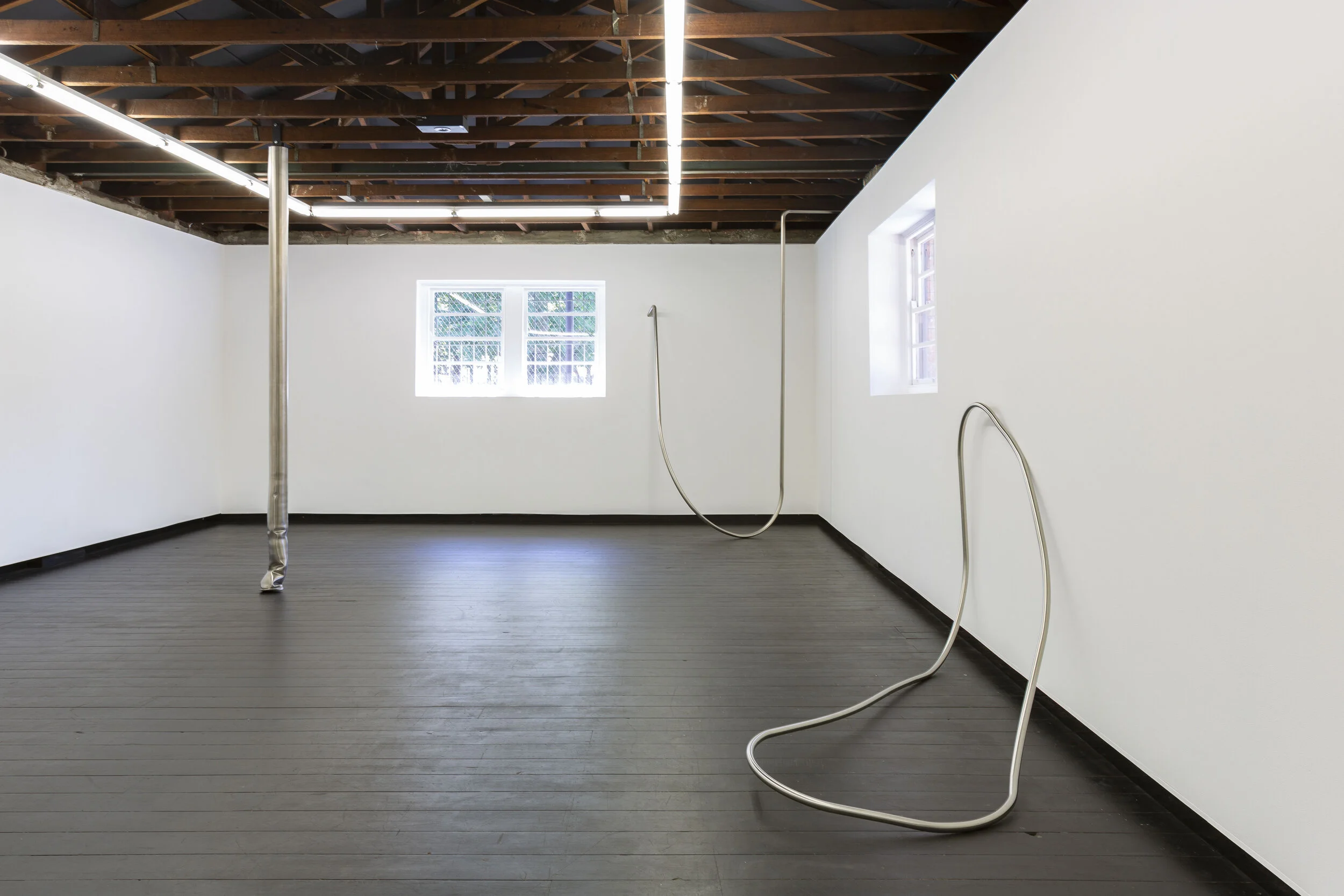 Kate Bohunnis,  this soft machine , 2020, stainless steel, latex, velvet, faux fur, chiffon, cotton thread,  dimensions variable, installation view (detail), Firstdraft. Photo: Jessica Maurer. Courtesy the artist.