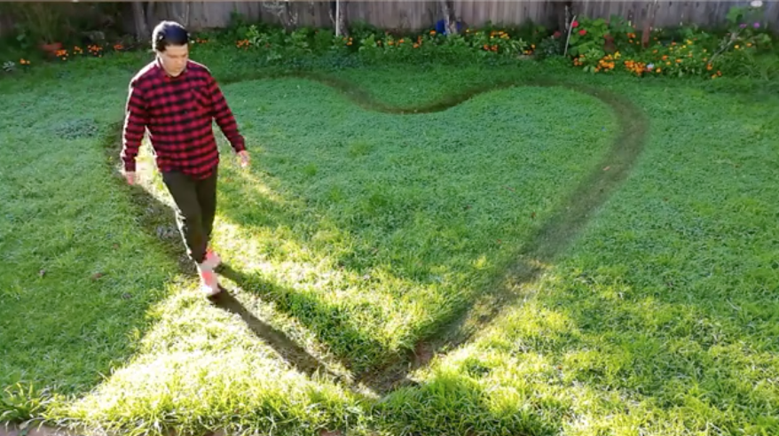 Sha Sarwari's discreet rebellions