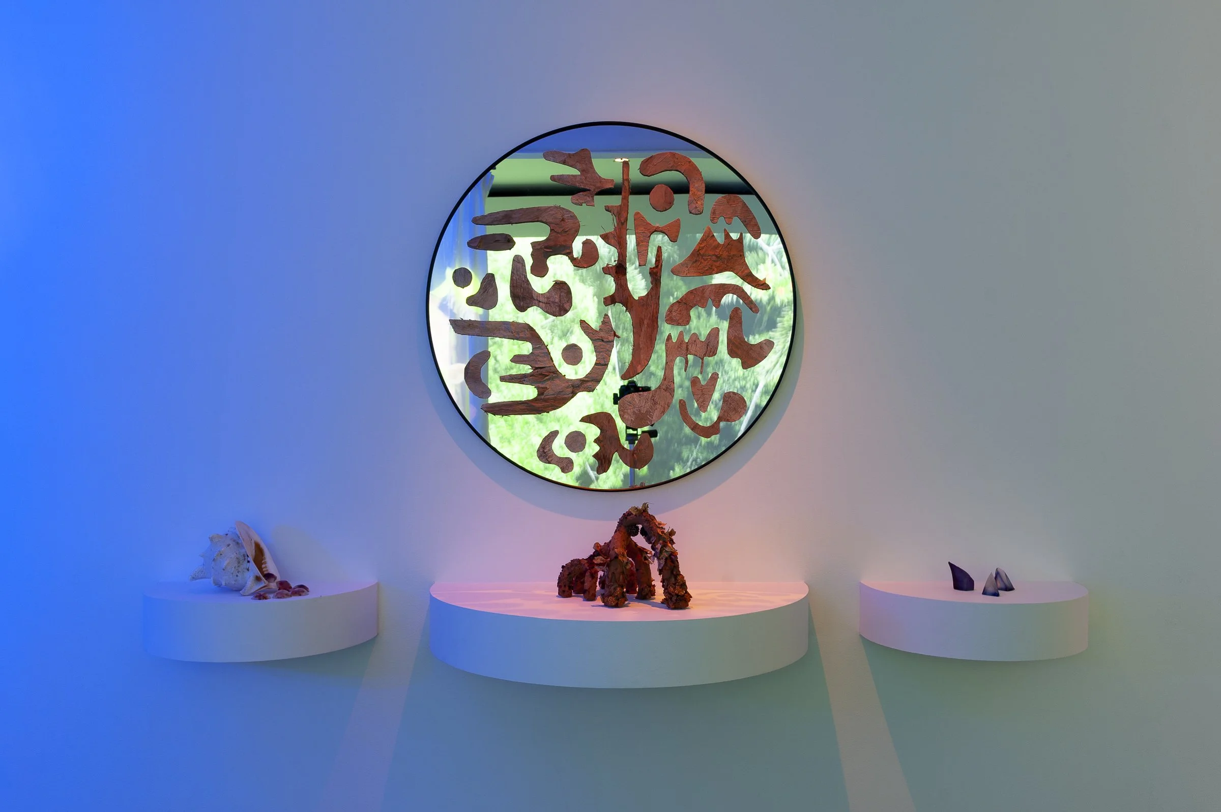 2023-24 Program Callout