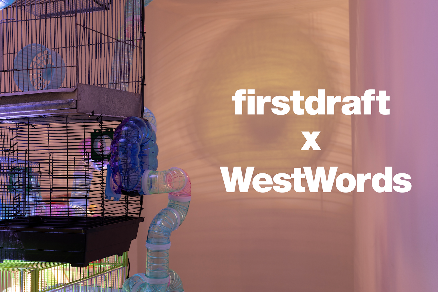 Slippages | Firstdraft x WestWords 