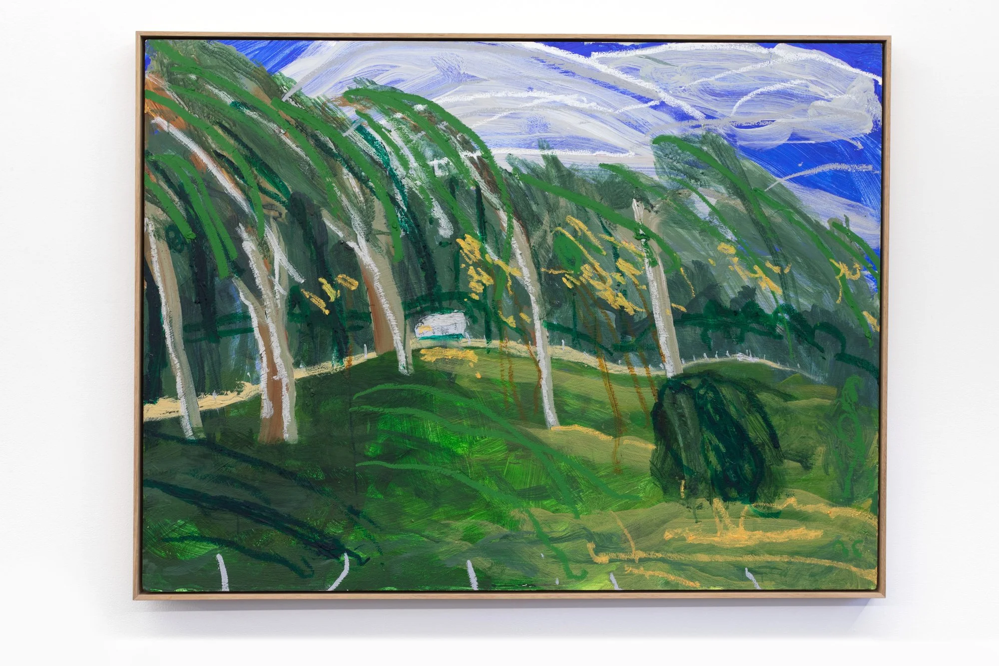 My studio window, Bundanon
