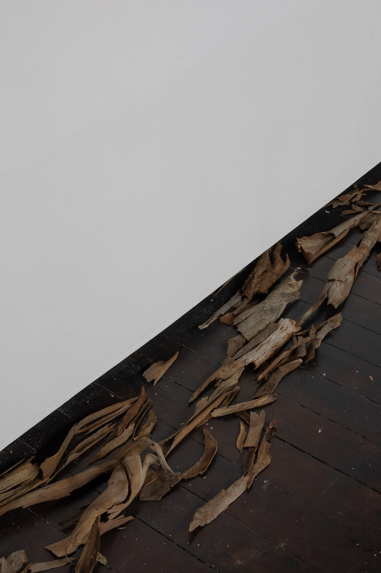 156A1696.jpg