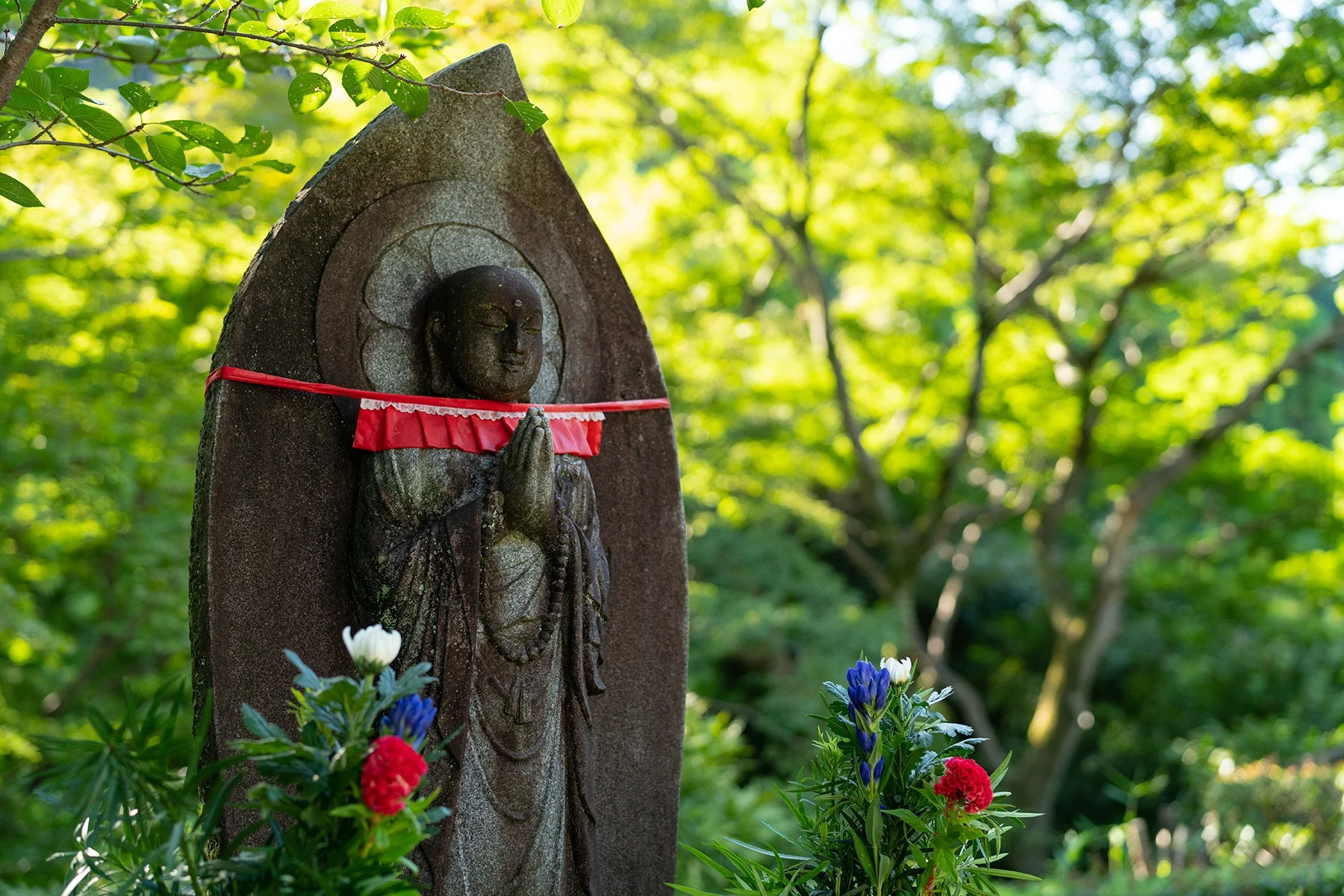 20180801landscape_027web.jpg
