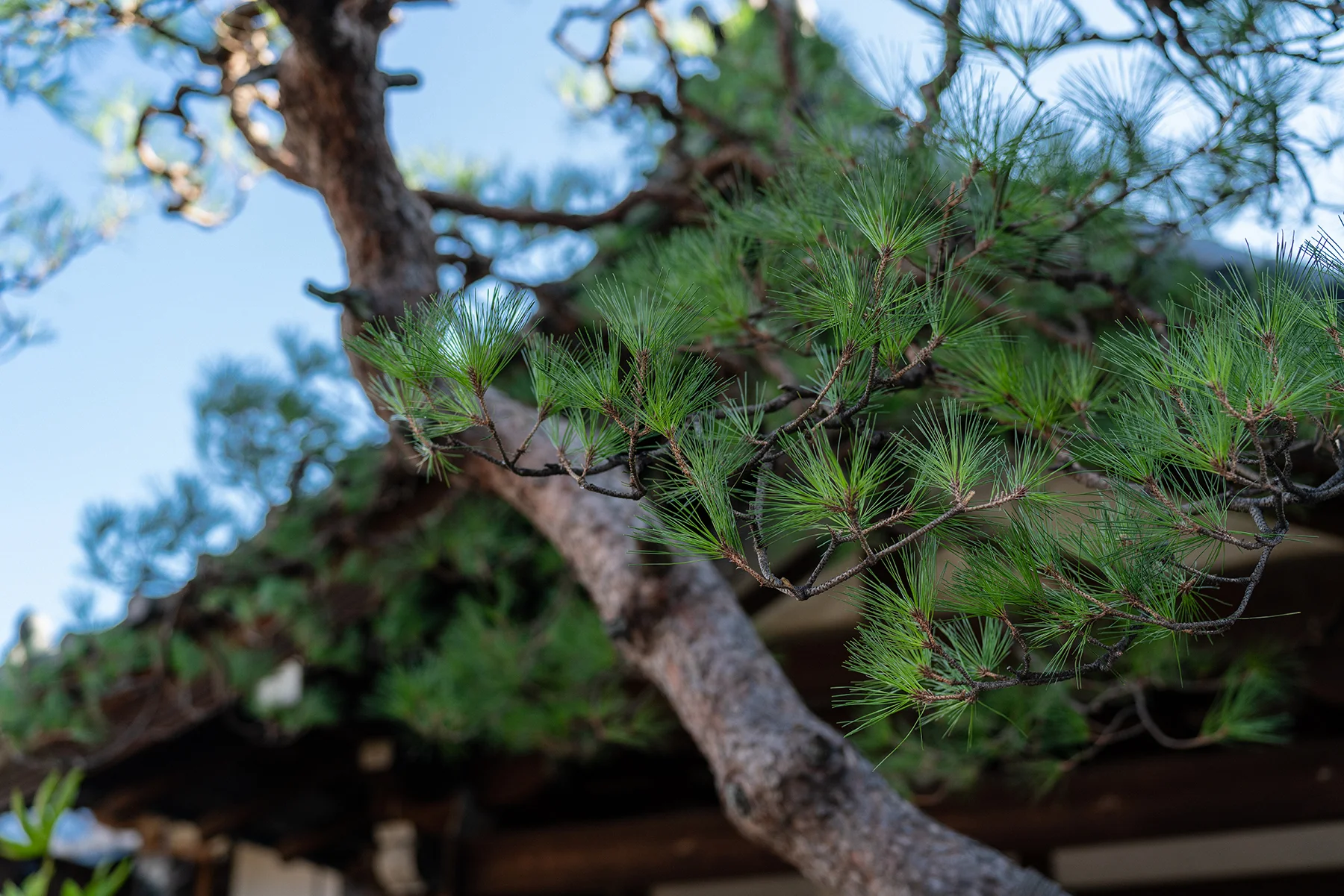 20180801landscape_030web.jpg