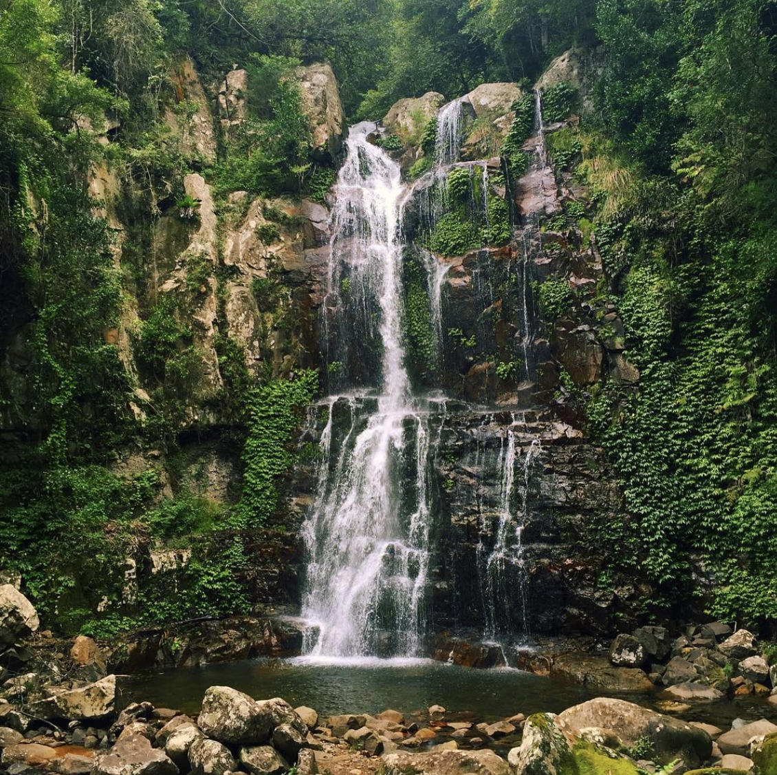 MINNAMURRA WATERFALLS Discover the beauty of the Minamurra Rainforest. There are walking trails to the waterfalls. You can take The Falls walk and enjoy what the rainforest has to offer.
