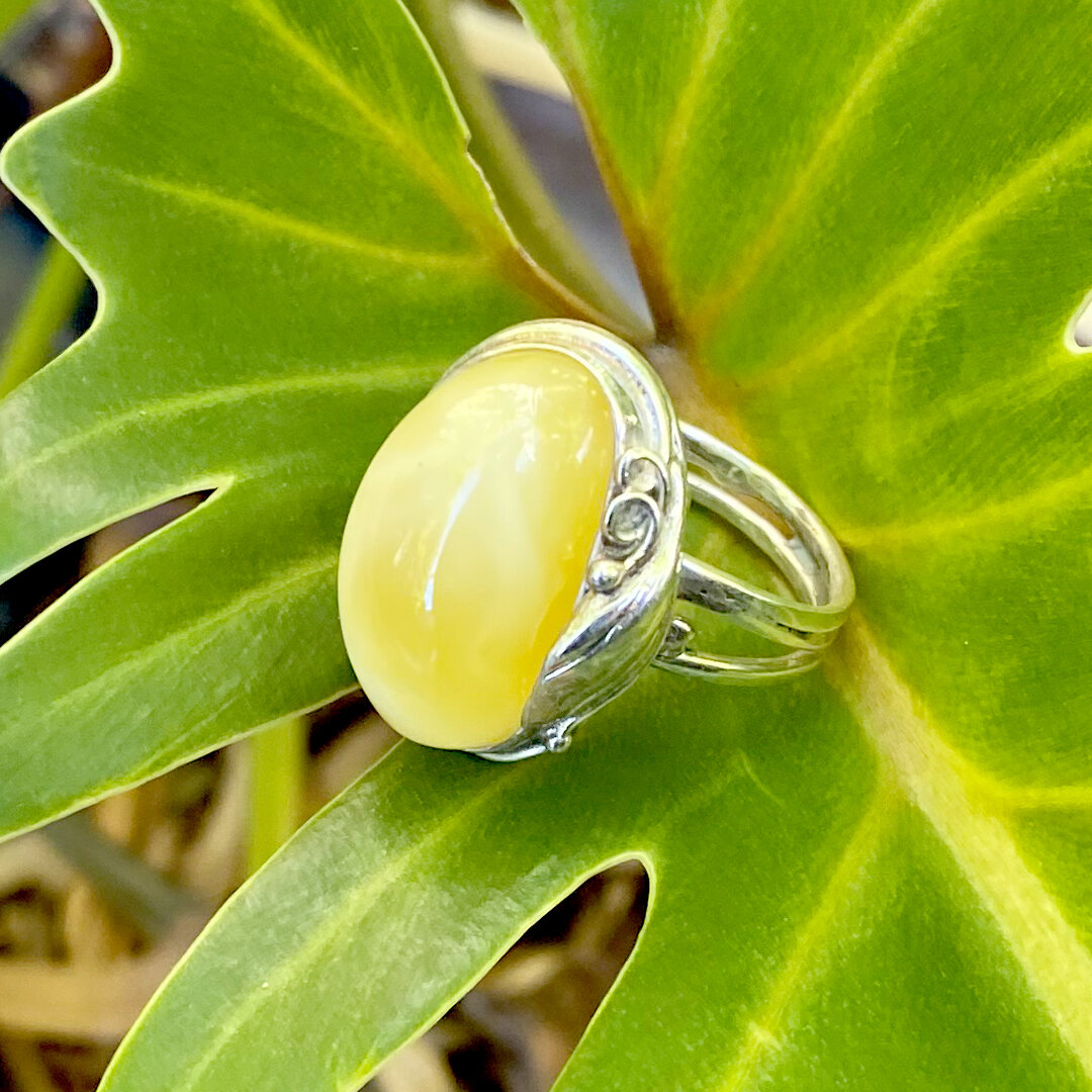Genuine Baltic antique style milky yellow Amber Ring ring set in Sterling Silver.
MORE INFO &amp; SHOP LINK IN BIO... 
.
.
#szubina #szubinajewellery #australianjewellery #australia #boho #bohofashion #bohochic #fashion #bohoaustralia #jewellery #jew
