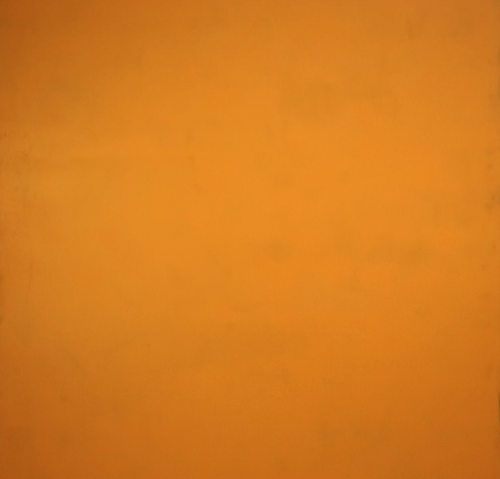 13.Brown Orange_1.png