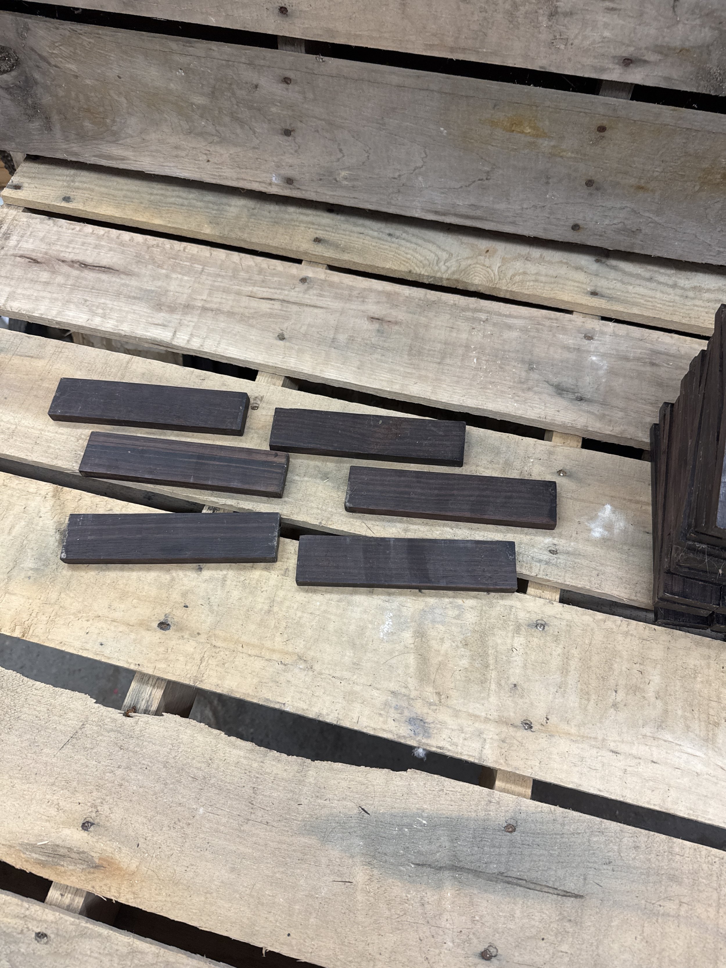 Macassar Ebony Bridge Blanks