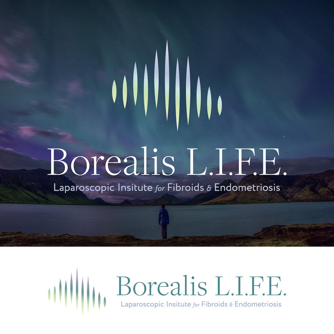 Logo Design and Branding - Borealis L.I.F.E.