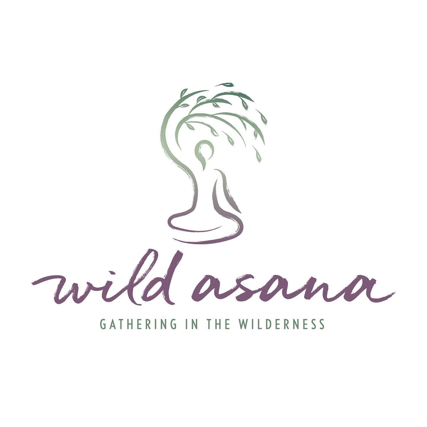 Wild Asana gathers people in the wilderness for yoga and mindfulness retreats. #poeticadesign 🧘🌲