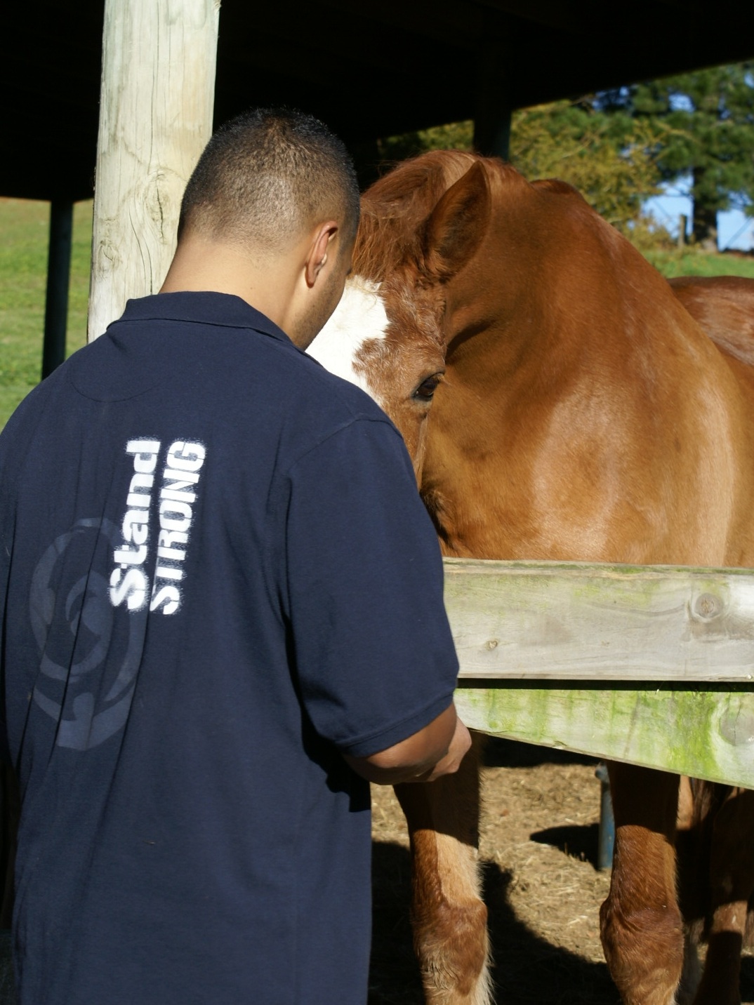 Client and Olli