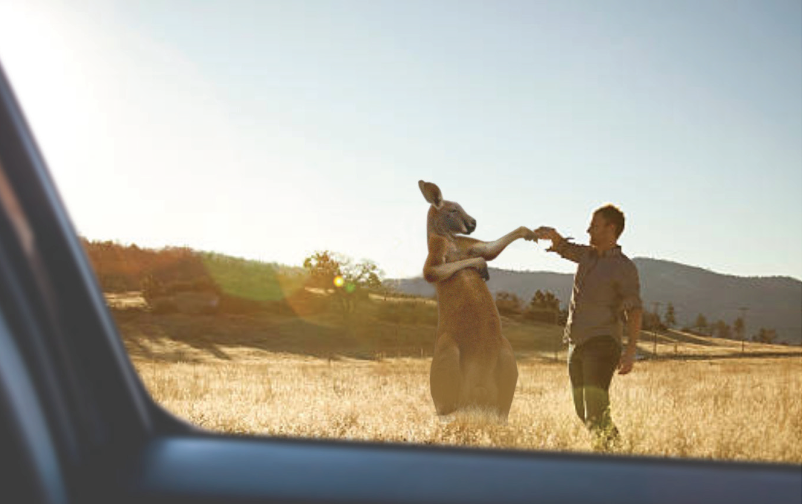 Screen Shot 2018-04-26 at 12.54.56 pm.png