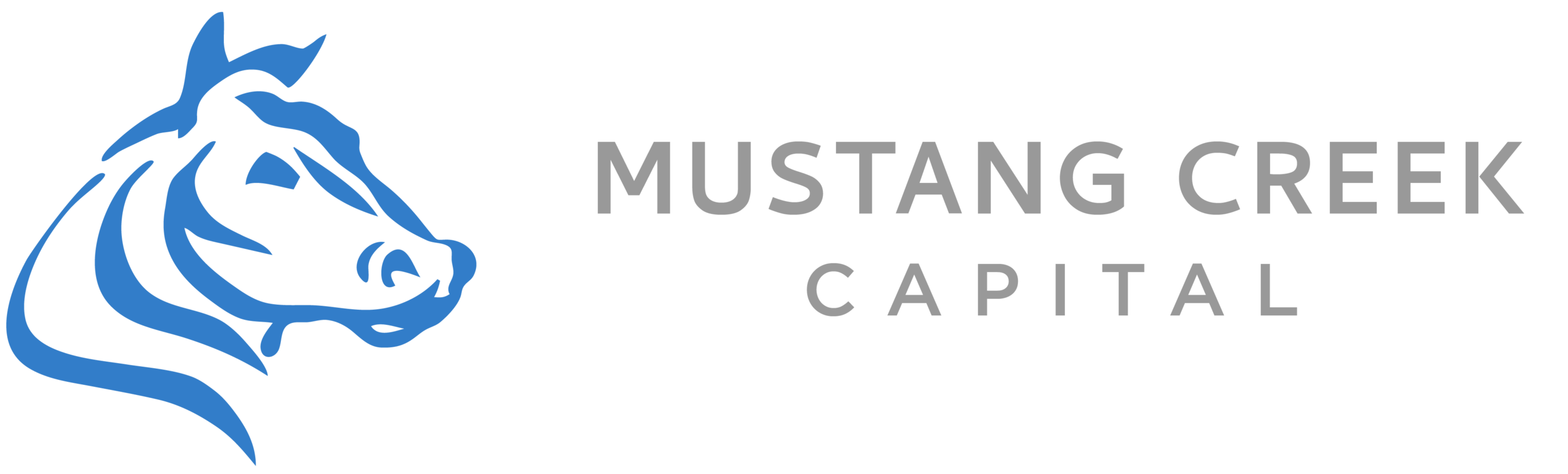 Mustang Creek Capital