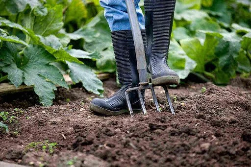 Soil Rejuvenation for Spring Planting