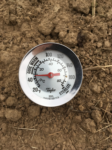 Demystifying Planting Times Blog