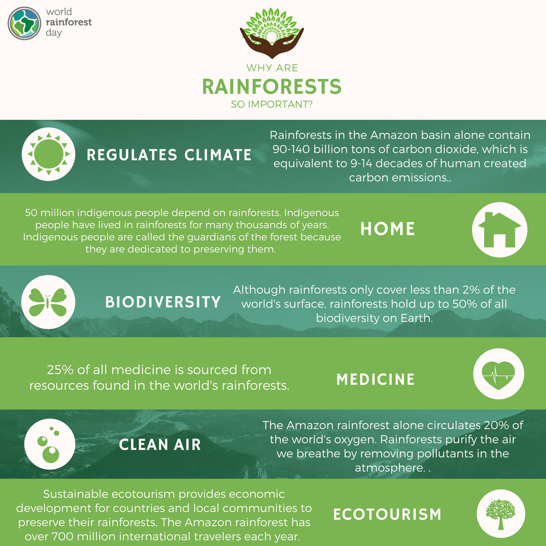 Why-are-rainforests-important.png