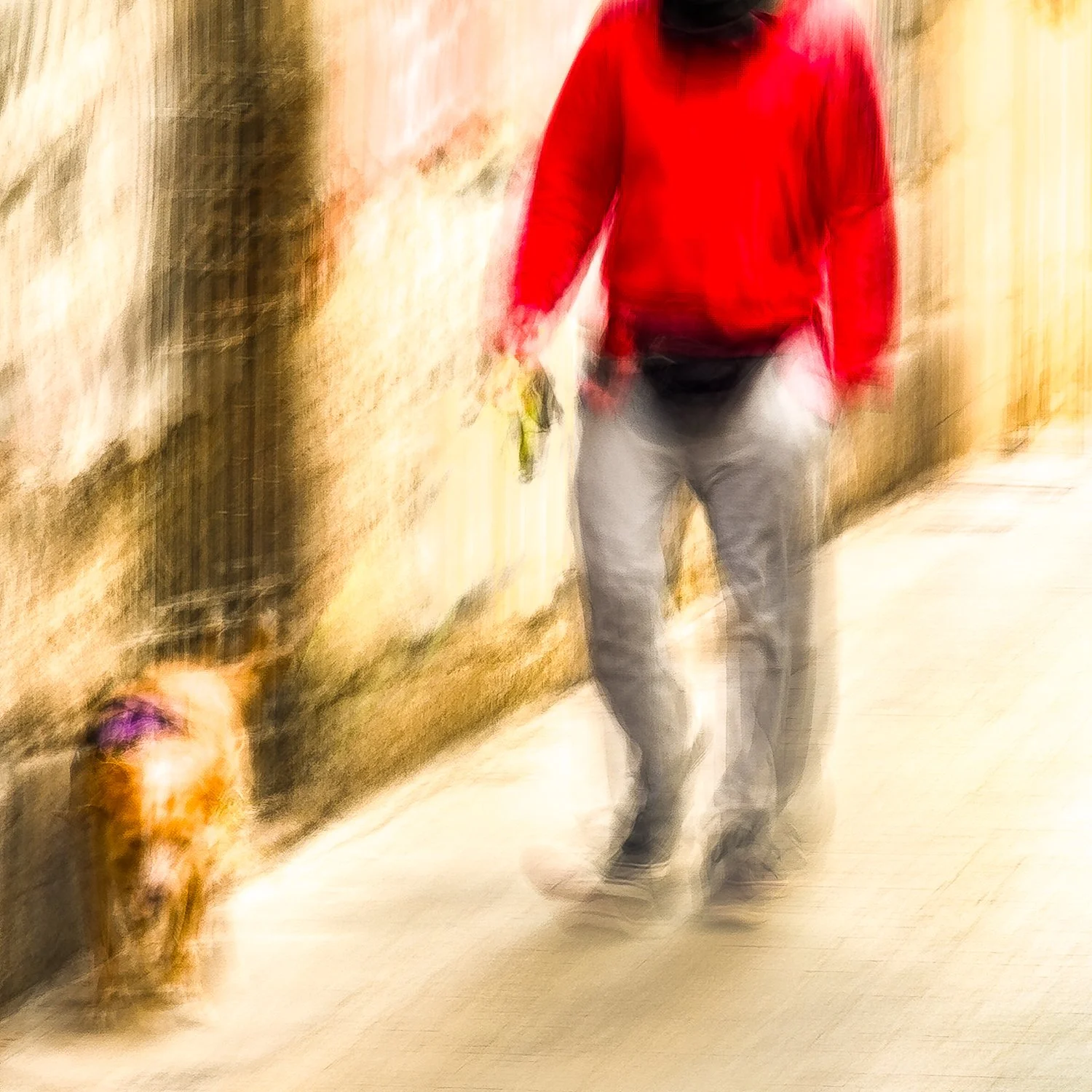 IMG_9252-Edit.jpg