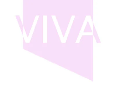 Interviews auf Distanz - VIVA